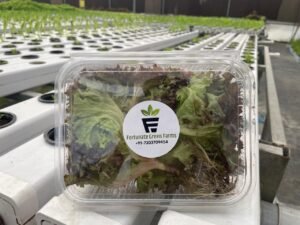 <img ... alt="Organic leafy greens – Fortunate Green Farms nutrient-rich vegetables">