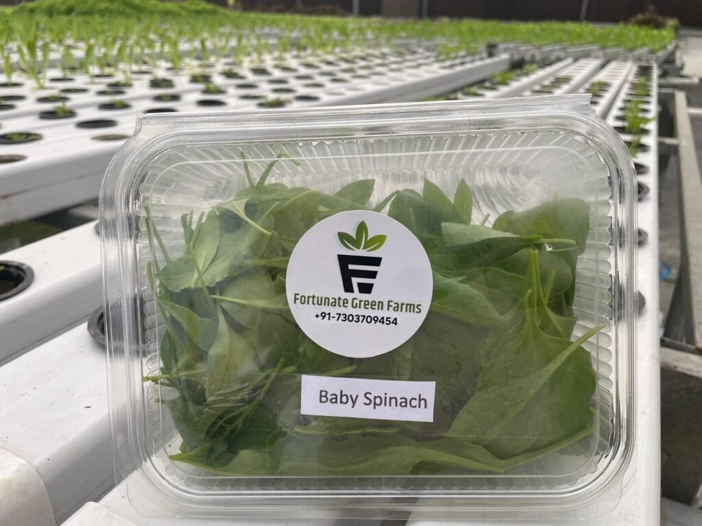 Baby Spinach - Fortunate Green Farms