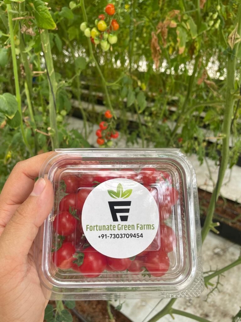 Cherry Tomatoes BY Fortunate Green Farms