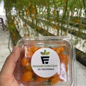 Yellow Cherry Tomatoes - Fortunate Green Farms