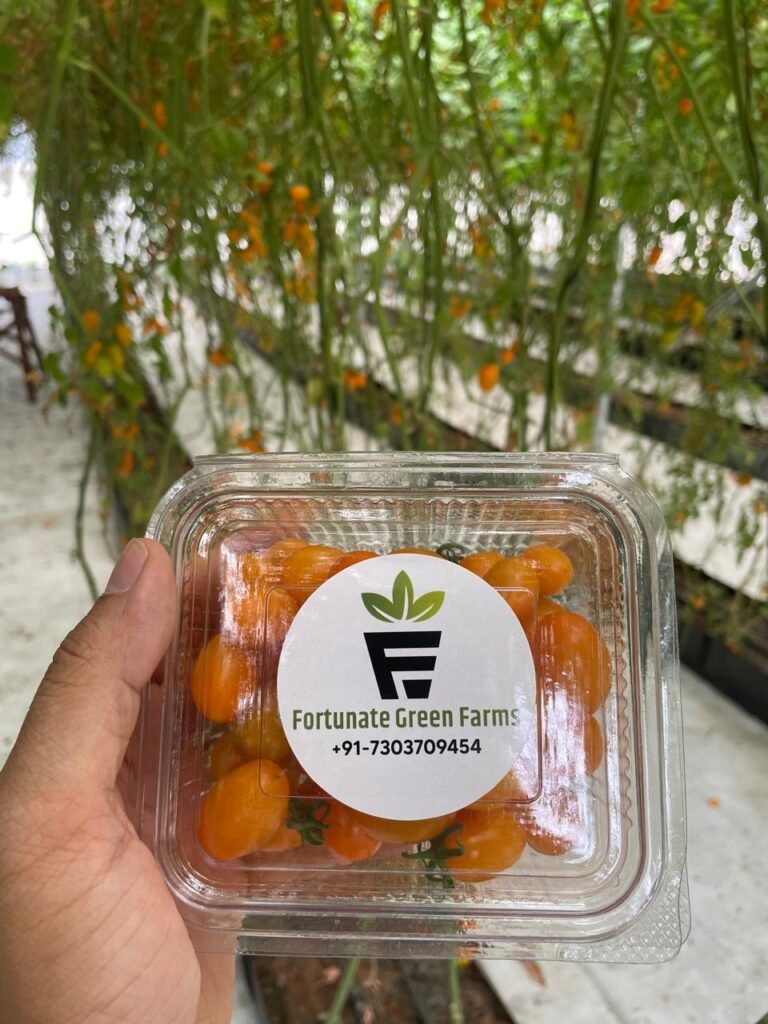 Yellow Cherry Tomatoes - Fortunate Green Farms